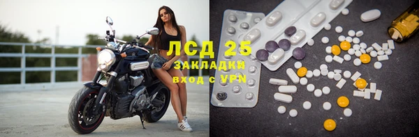 шишки Беломорск