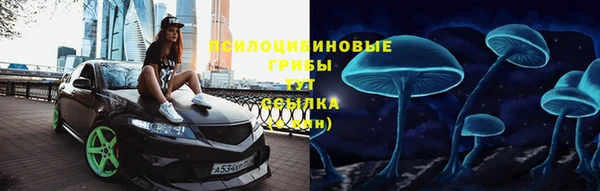 мескалин Богородицк