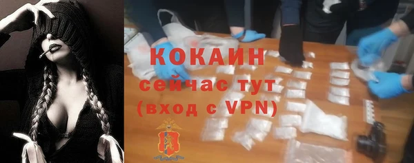 мескалин Богородицк