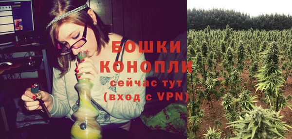 гашиш Богданович