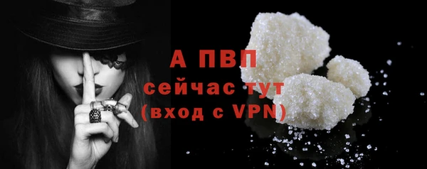 шишки Беломорск